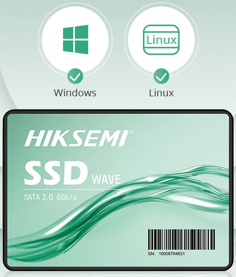 dysk do windows linux